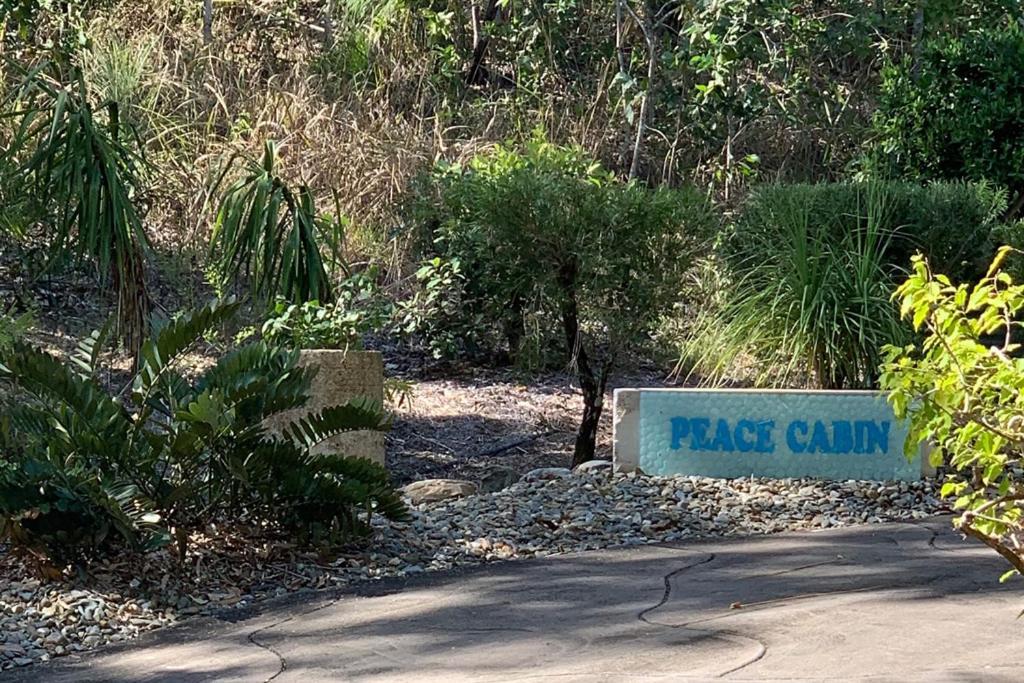 Beachfront Peace Cabin Oak Beach Ngoại thất bức ảnh